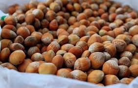 HAZEL NUTS