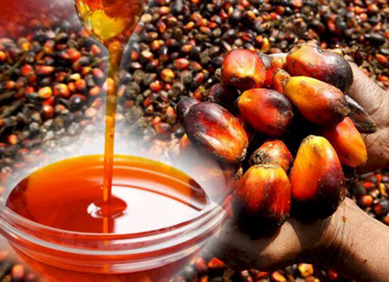 Palm-Oil