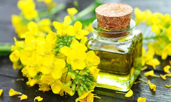 Rapeseed-Oil